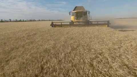 Combine harvester with tractor Stock Footage 77847542