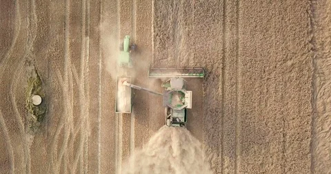 Combine harvester transferring load into tractor Stock Footage 89850798