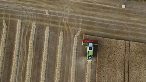 Combine Harvester turning at the end of a row. Stock Footage 202305909