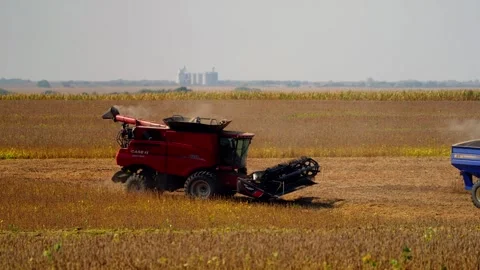 Combine harvester unloading in a field near Lebanon Stock Footage 345530630