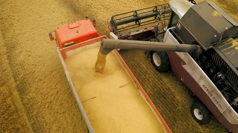 Combine harvester unloading grain into the back of a truck Video stock 136442569