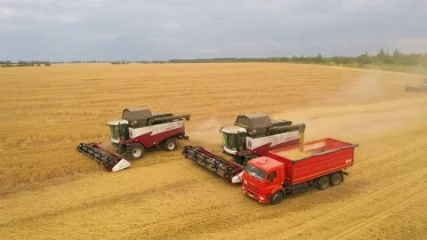 Combine harvester unloading grain into the back of a truck Video stock 136443854
