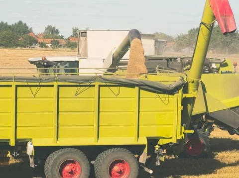 Combine Harvester Unloading Grain Stock Photos
