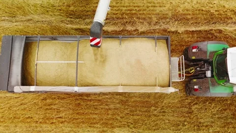 Combine harvester unloading grain into tractor trailer in wheat field Stock Footage 307120570