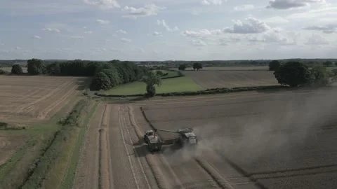Combine harvester unloading grain into trailer, Derbyshire, England Stock Footage 205932349