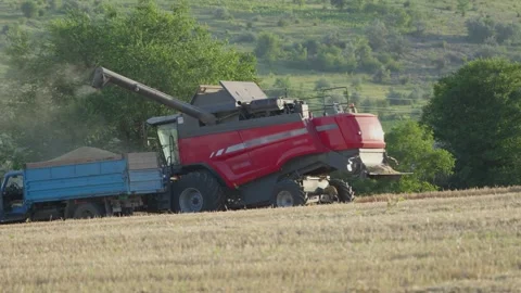 Combine harvester unloading grain into trailer during wheat harvest Stock Footage 341767191