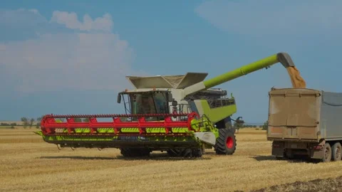 Combine Harvester Unloading Grain into Truck in Wheat Field Stock Footage 340799662