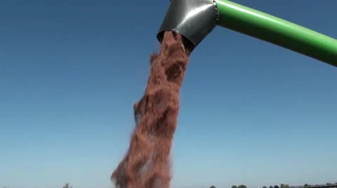 Combine harvester unloading grains 스톡 동영상 12168673