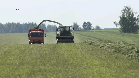 Combine harvester unloading herb in tractor tow while harvesting Stock Footage 106255597