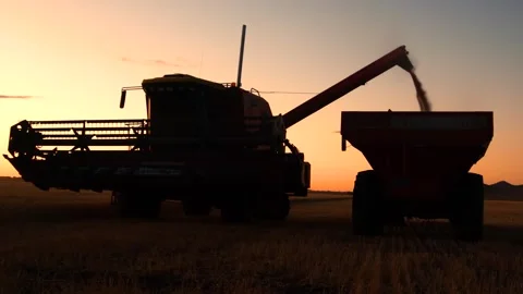 Combine harvester unloading its load of wheat into a grain cart. Video in 4.. Stock Footage 256026099