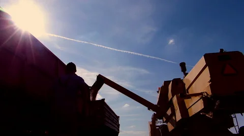 Combine harvester unloading soybean to tractor trailer. Stock Footage 56614802