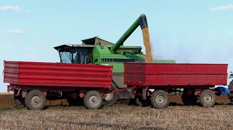 Combine harvester unloading soybean to trailer. Stock Footage 47779698
