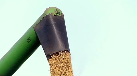 Combine harvester unloading soybean to trailer Stock Footage 47780001