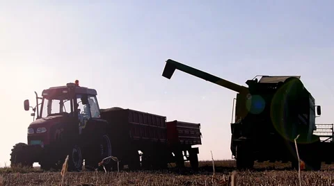Combine-harvester unloading soybeans in tractor trailer Stock Footage 47846492