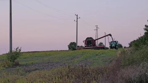 Combine harvester unloading soybeans into a tractor trailer at dusk Stock Footage 345680946
