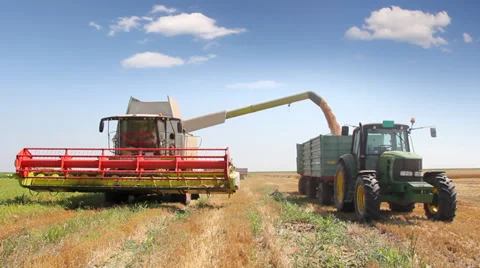 Combine harvester unloading wheat Stock Footage 35491111
