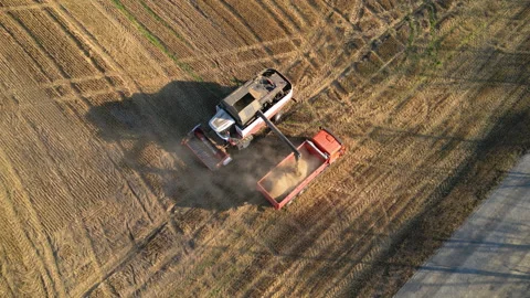 Combine harvester is unloading wheat grain into a truck in sunny day Stock Footage 287111739