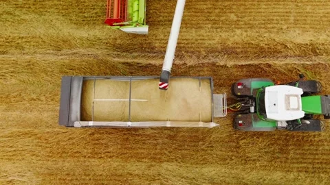 Combine harvester unloading wheat grain into tractor trailer in field Stock Footage 307106559
