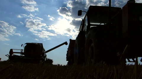Combine harvester unloading wheat to trailer. Stock Footage 54596094