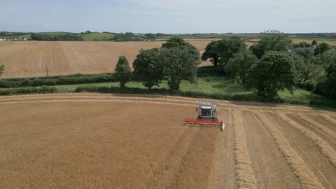 Combine harvester in a wheat field Stock Footage 328471684