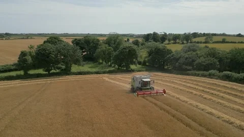 Combine harvester in a wheat field Stock-Footage 328471685