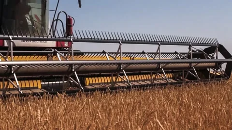 Combine harvester. Wheat harvest Stock Footage 64483100