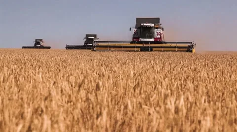 Combine harvester. Wheat harvest Stock Footage 64483166