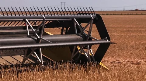 Combine harvester. Wheat harvest Video stock 64483191