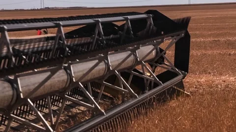 Combine harvester. Wheat harvest Vidéo 64483270