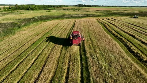 Combine Harvester on Wheat harwesting in field. 動画素材 204042953