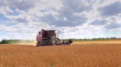 Combine Harvester the wheat, motion Stock Footage 52335740