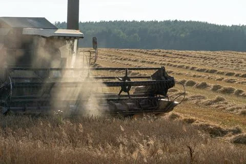 Combine harvester while working in the field with wheat during the harvesting Stock Photos