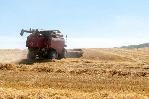Combine harvester while working in the field with wheat during the harvesting Stock Photos