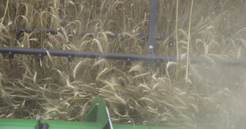 Combine harvester at work and dust, close-up, 4K slomo Stock Footage 256347412
