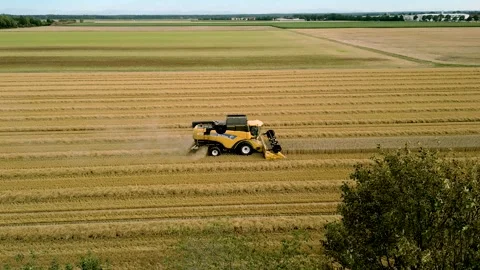 Combine harvester at work in the cornfield - accompanied by a drone 動画素材 246974791