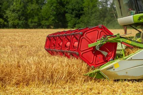 Combine harvester at work during wheat harvest. Global wheat supply shortage. Stock Photos