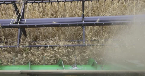 Combine harvester work in the field, harvest, 4K slomo Stock Footage 256357459