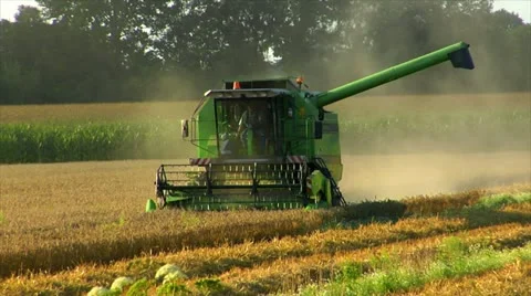 Combine harvester at work Stock Footage 11890668