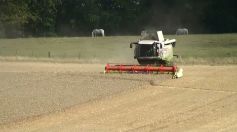 Combine Harvester at work Stock Footage 41366842