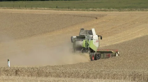 Combine harvester at work Stock Footage 41367395