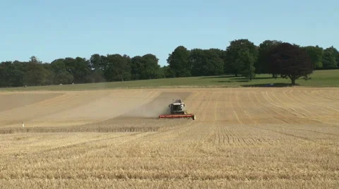 Combine harvester at work Stock Footage 41367684