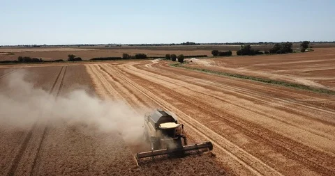 Combine harvester at work Stock Footage 93158644