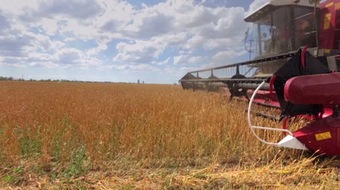 Combine Harvester at work, side view close-up Stock Footage 52914808