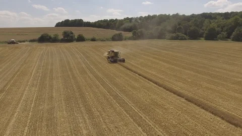 Combine Harvester At Work Wheat Field Aerial Stock Footage 102821094