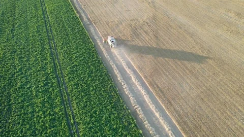 A combine harvester working on the border of two fields, Farming Industry Stock-Footage 316883630