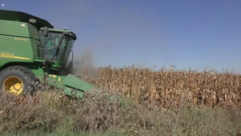 Combine harvester working on the corn field in motion, Israel Видео 140647166