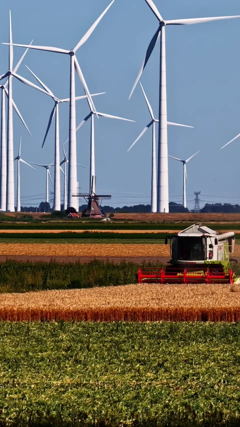 Combine harvester working in a Dutch wheat field with wind turbines in the Stock Footage 344524595