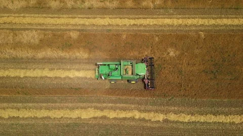 Combine harvester working in field during wheat harvesting. Stock Footage 281116803