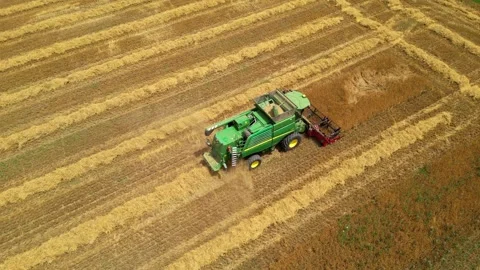 Combine harvester working in field during wheat harvesting. Stock Footage 281116805