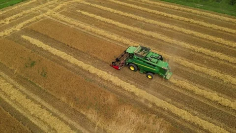 Combine harvester working in field during wheat harvesting. Stock Footage 281116807